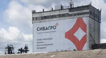 Печать сверхширокоформатного рекламного баннера и монтаж на фасад в городе Асино, Томская область      